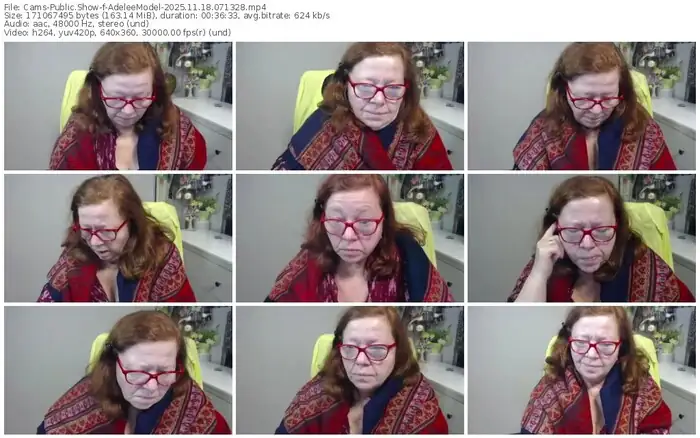 2025/11/18/cams-adeleemodel-07-13-28