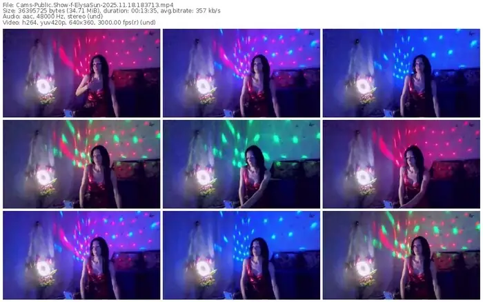 2025/11/18/cams-elysasun-18-37-13