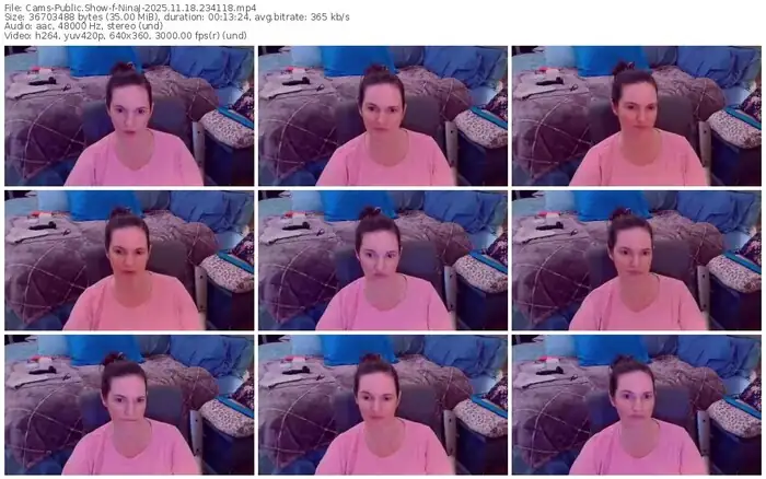 2025/11/18/cams-ninaj-23-41-18