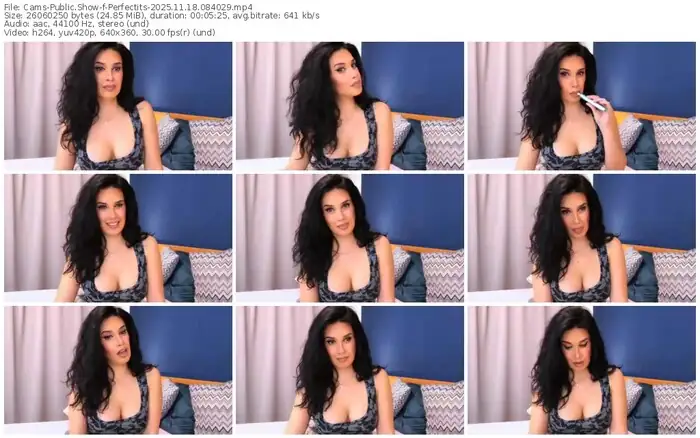 2025/11/18/cams-perfectits-08-40-29