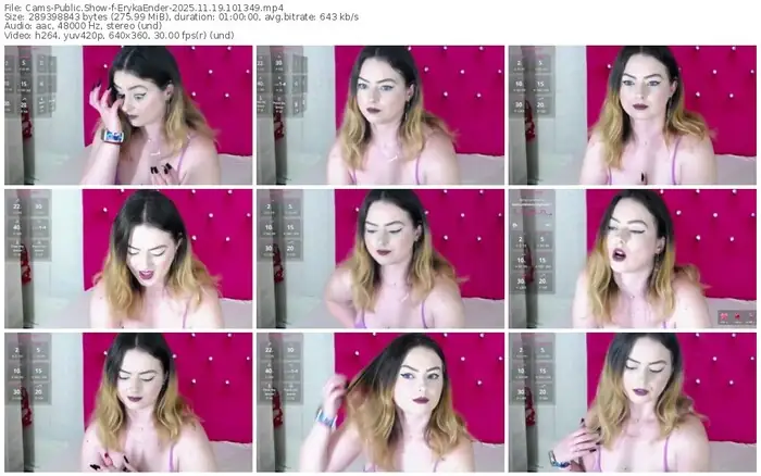 2025/11/19/cams-erykaender-10-13-49