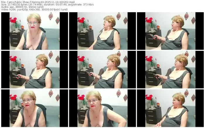 2025/11/19/cams-nennsy40-00-02-02