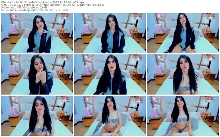 2025/11/19/cams-valery_hanze-01-14-09