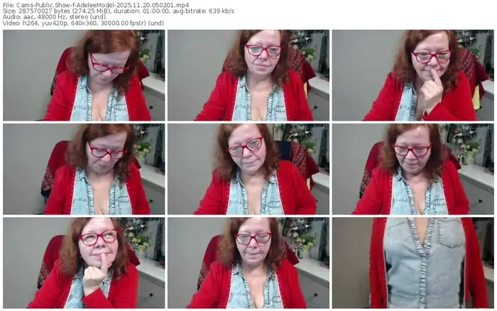 2025/11/20/cams-adeleemodel-05-02-01