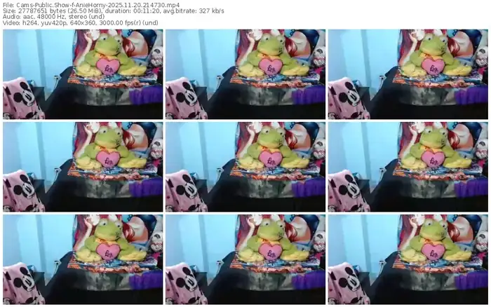 2025/11/20/cams-aniehorny-21-47-30