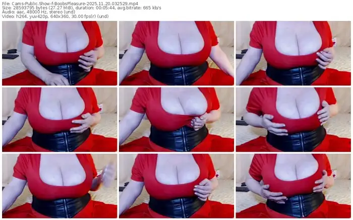 2025/11/20/cams-boobspleasure-03-25-29