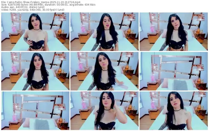 2025/11/20/cams-valery_hanze-21-27-24