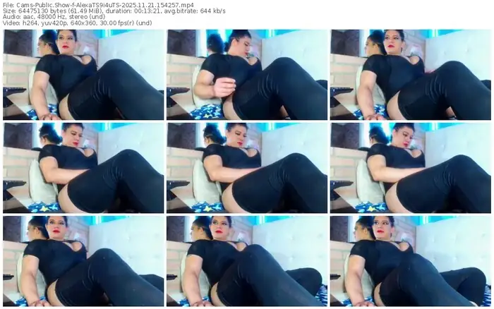 2025/11/21/cams-alexats9i4uts-15-42-57