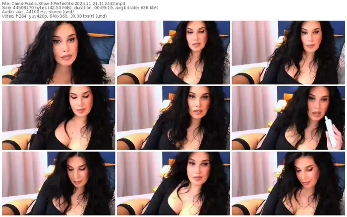 2025/11/21/cams-perfectits-11-24-42