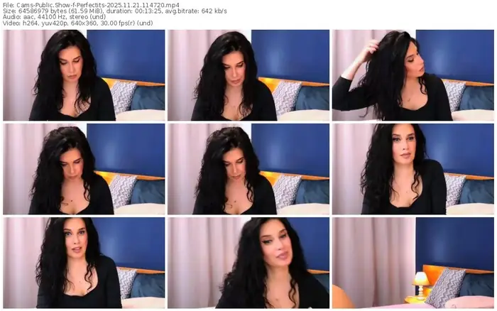 2025/11/21/cams-perfectits-11-47-20