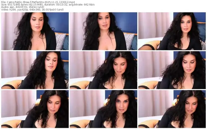 2025/11/21/cams-perfectits-13-30-12