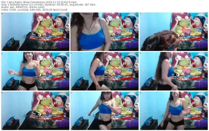 2025/11/23/cams-aniehorny-21-41-19