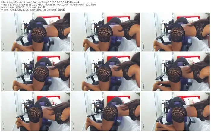 2025/11/23/cams-barbiiesexy-14-48-40