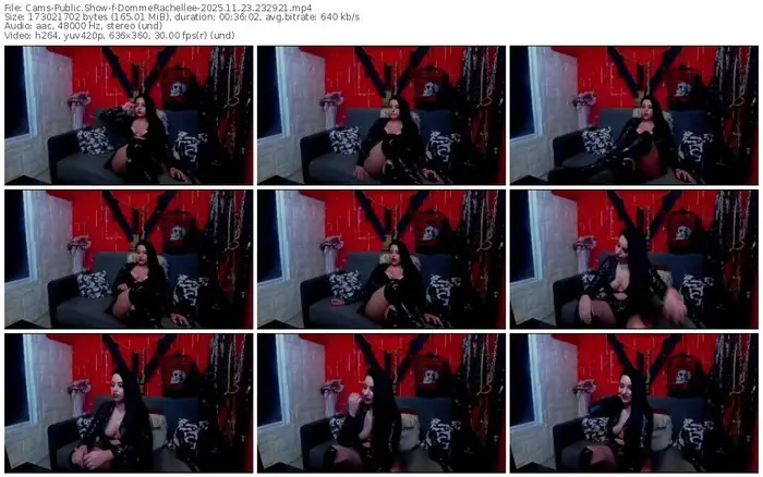 2025/11/23/cams-dommerachellee-23-29-21