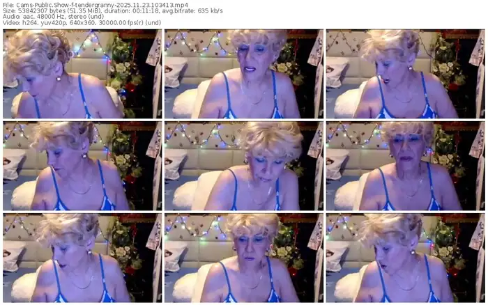 2025/11/23/cams-tendergranny-10-34-13