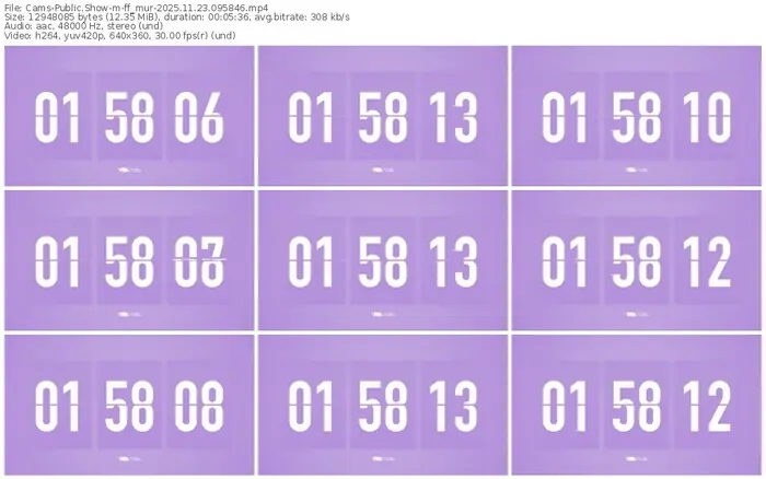 2025/11/23/cams-ff_mur-09-58-46