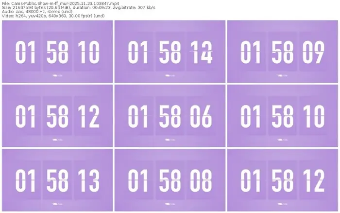 2025/11/23/cams-ff_mur-10-38-47