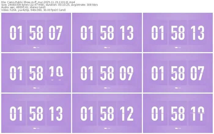 2025/11/23/cams-ff_mur-11-01-21