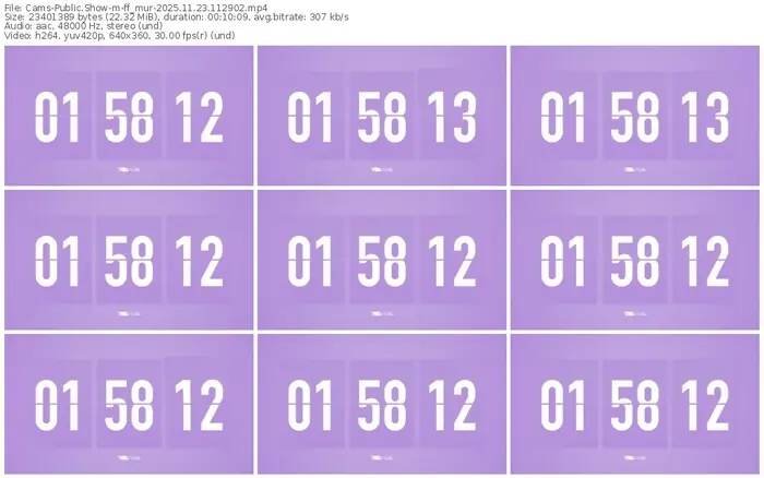 2025/11/23/cams-ff_mur-11-29-02