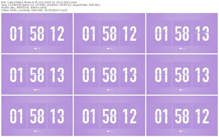 2025/11/23/cams-ff_mur-11-39-11