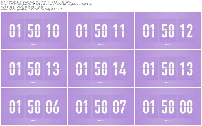 2025/11/23/cams-ff_mur-11-57-41