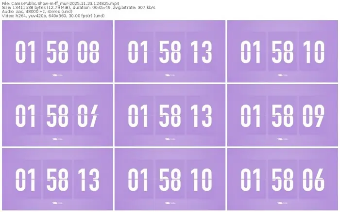 2025/11/23/cams-ff_mur-12-48-25