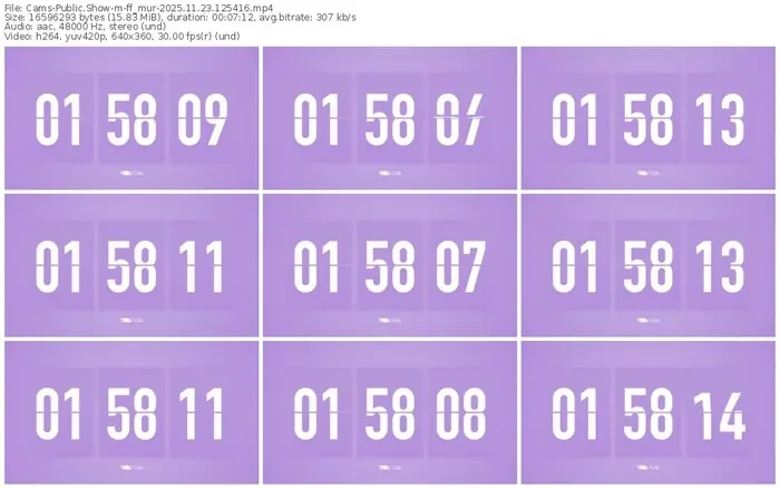 2025/11/23/cams-ff_mur-12-54-16