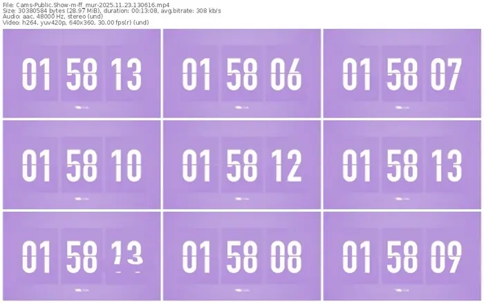 2025/11/23/cams-ff_mur-13-06-16