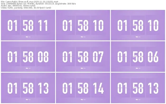 2025/11/23/cams-ff_mur-13-32-51