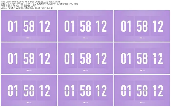 2025/11/23/cams-ff_mur-13-56-31