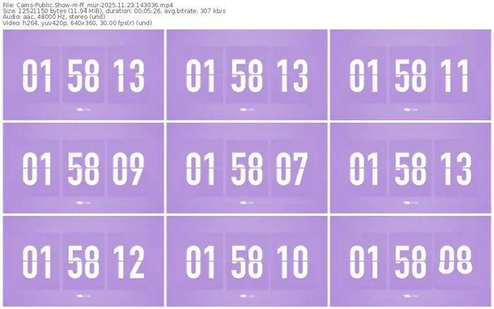 2025/11/23/cams-ff_mur-14-30-36