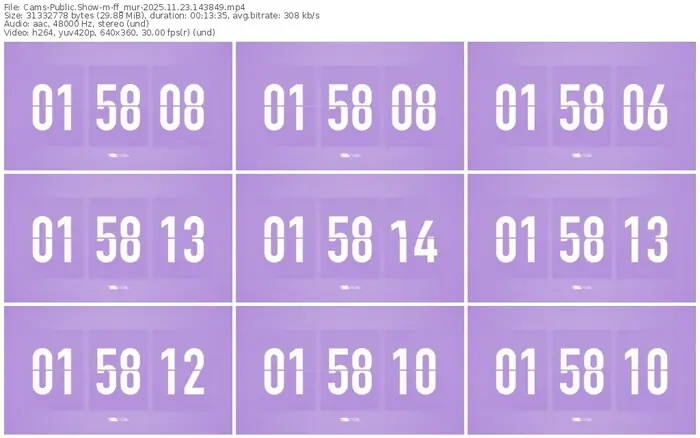 2025/11/23/cams-ff_mur-14-38-49