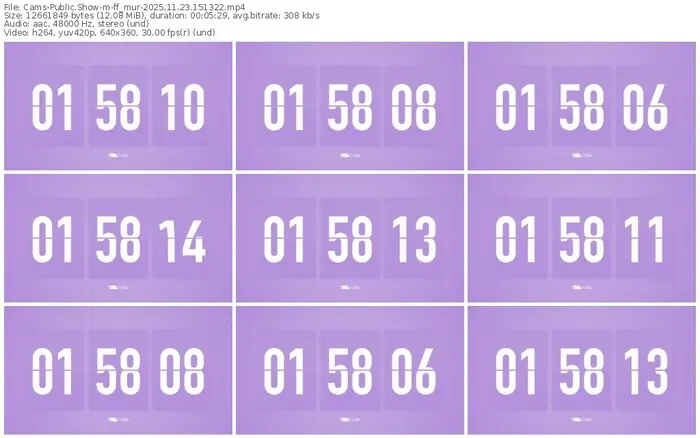 2025/11/23/cams-ff_mur-15-13-22