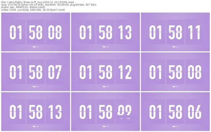 2025/11/23/cams-ff_mur-15-33-01