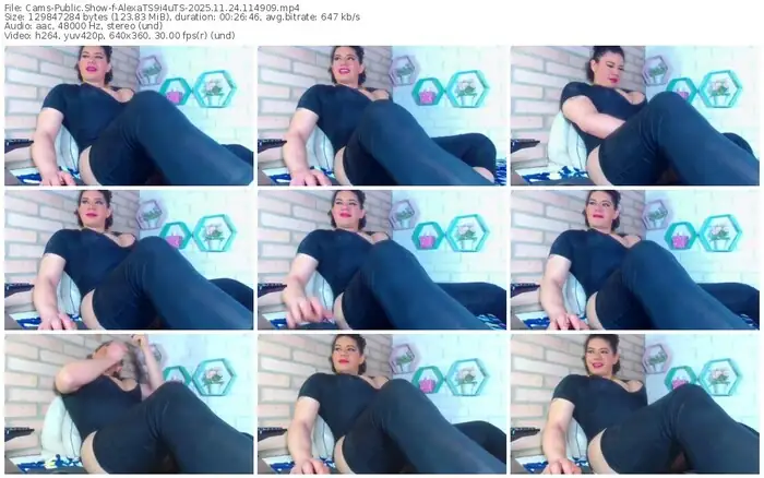2025/11/24/cams-alexats9i4uts-11-49-09
