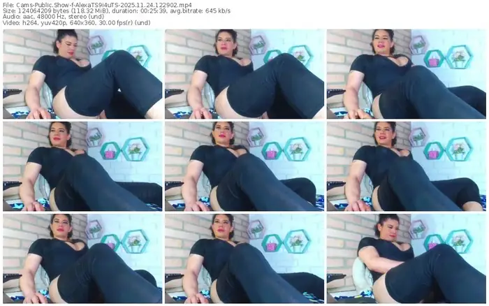 2025/11/24/cams-alexats9i4uts-12-29-02