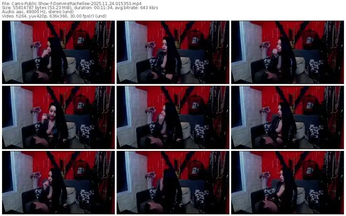 2025/11/24/cams-dommerachellee-01-53-53