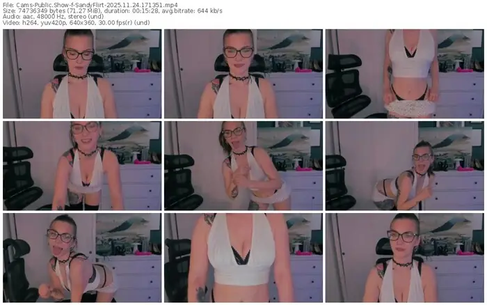 2025/11/24/cams-sandyflirt-17-13-51