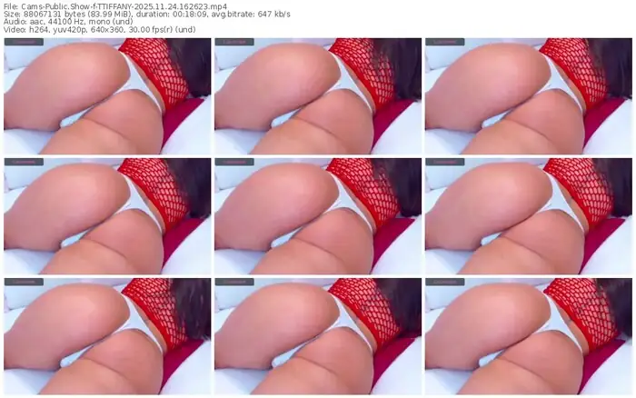 2025/11/24/cams-ttiffany-16-26-23