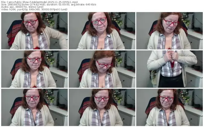 2025/11/25/cams-adeleemodel-03-55-11