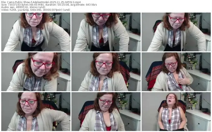 2025/11/25/cams-adeleemodel-04-55-13