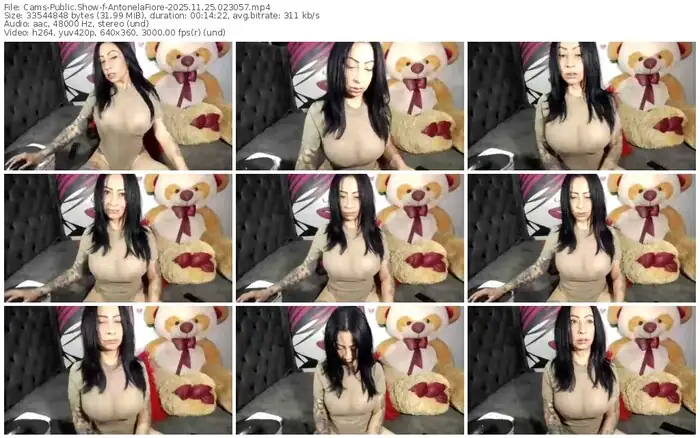 2025/11/25/cams-antonelafiore-02-30-57