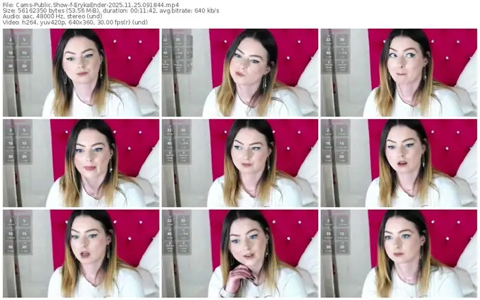 2025/11/25/cams-erykaender-09-18-44