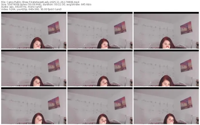 2025/11/26/cams-katesweetlady-17-48-08