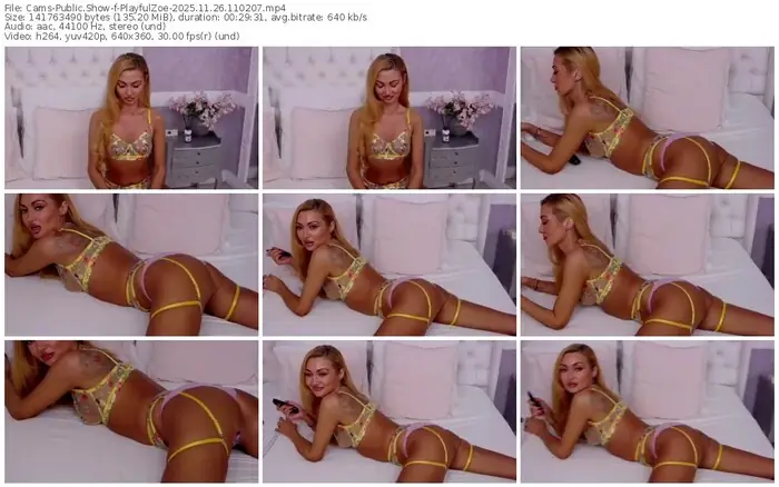 2025/11/26/cams-playfulzoe-11-02-07