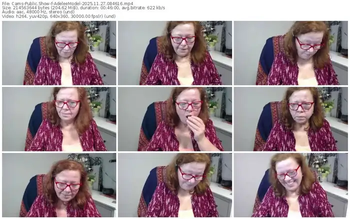 2025/11/27/cams-adeleemodel-08-46-16