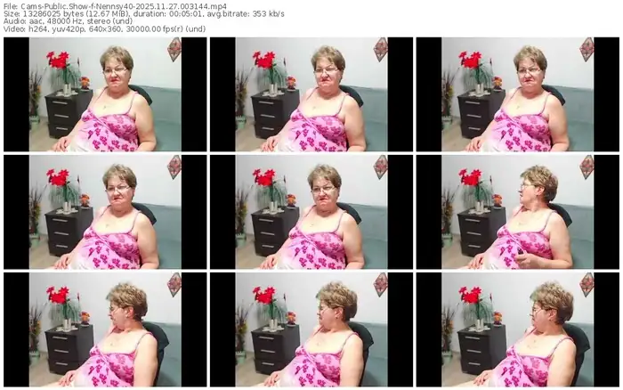 2025/11/27/cams-nennsy40-00-31-44