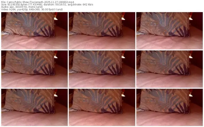 2025/11/27/cams-luciana45-18-08-32