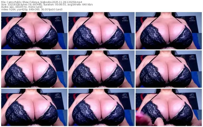 2025/11/28/cams-alesya_bigboobs-12-02-58