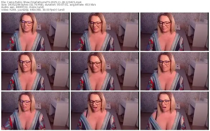 2025/11/28/cams-karladivinets-12-34-15